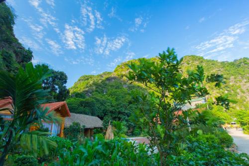 green mountain homestay