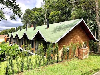 monte verde
