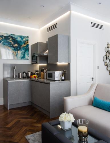 baker street apartments by viridian apartments