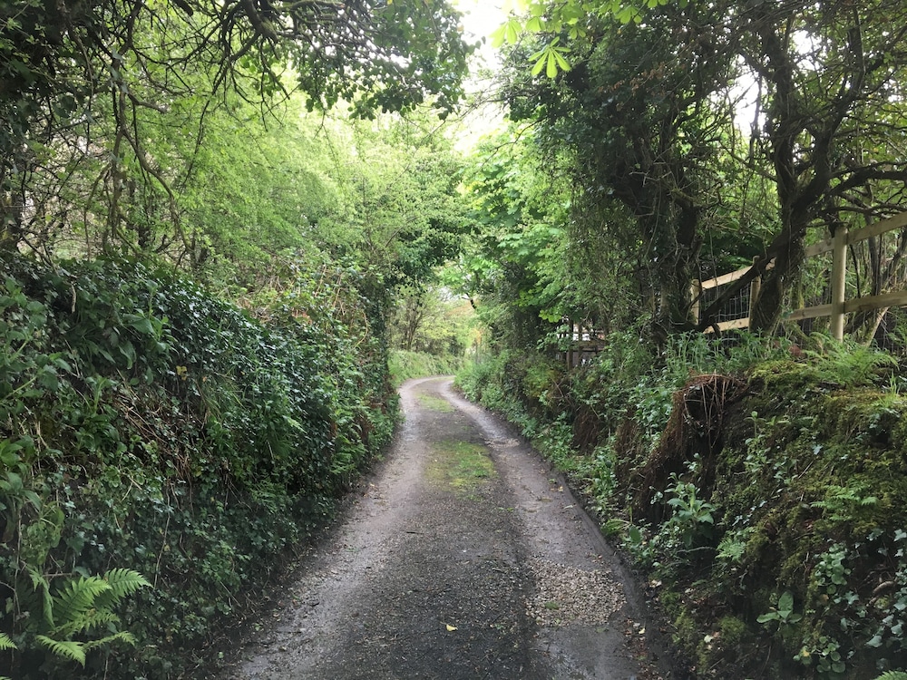 helston