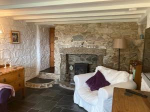 higher trenear farm
