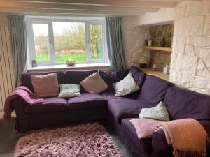 higher trenear farm