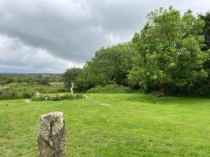 higher trenear farm