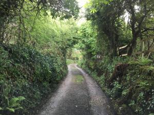higher trenear farm