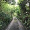 higher trenear farm