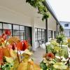 Guichen Bay Motel,Beachport>>Adelaide,4 star