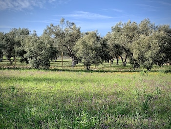 alacati barbarossa hotel