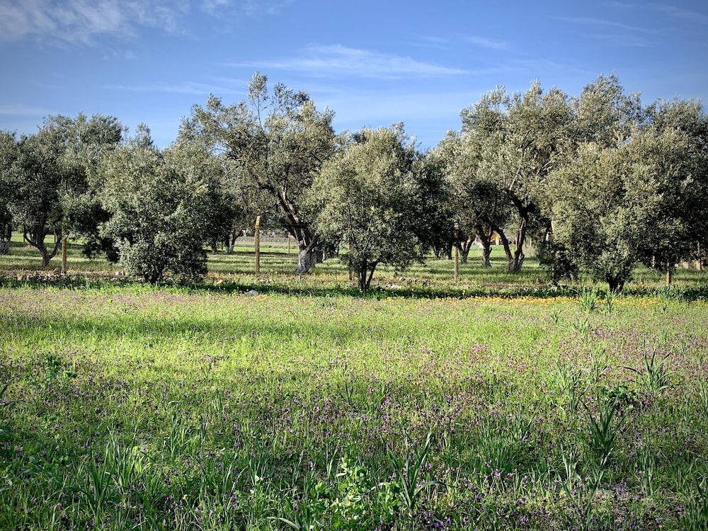 alacati barbarossa hotel