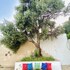 alacati barbarossa hotel