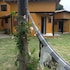 itaunas