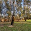 deniliquin riverside caravan park