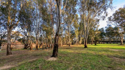 deniliquin riverside caravan park