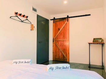 pig dive hostel