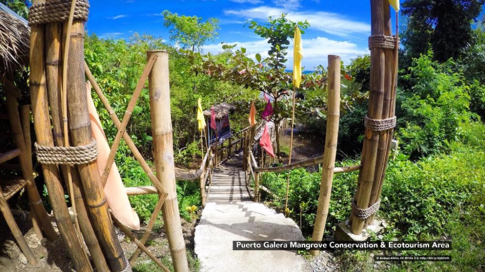 puerto galera