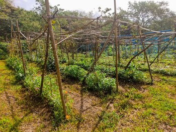 caliraya ecoville recreation and farm resort powered by cocotel