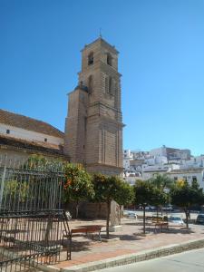 alora
