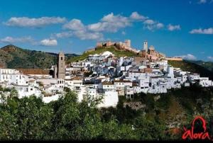 alora