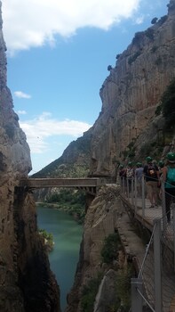 alora