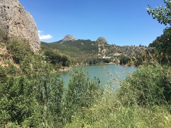 alora