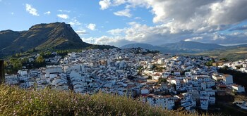 alora