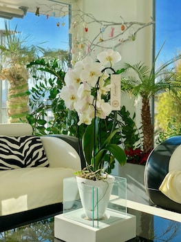 Perfect Lifestyle Design Boutique & Private Spa,Brugg>>Baden,3.5 star