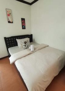 rachels bed and breakfast