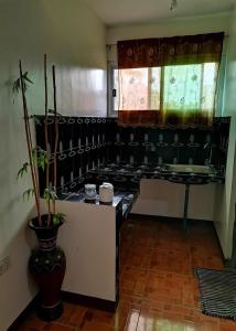 rachels bed and breakfast