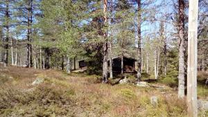 sterasen hytter and camping