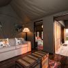 Hillsnek Safari Camp - Amakhala Game Reserve,Addo Elephant National Park>>Addo,4 star