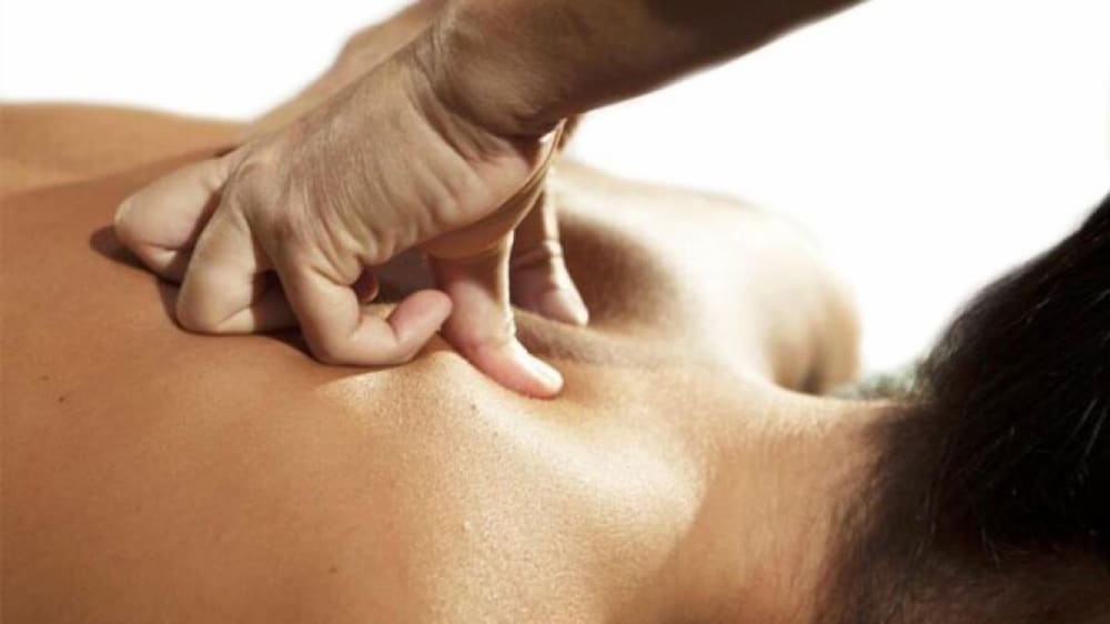 espacio finca alegria