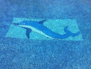 espacio finca alegria