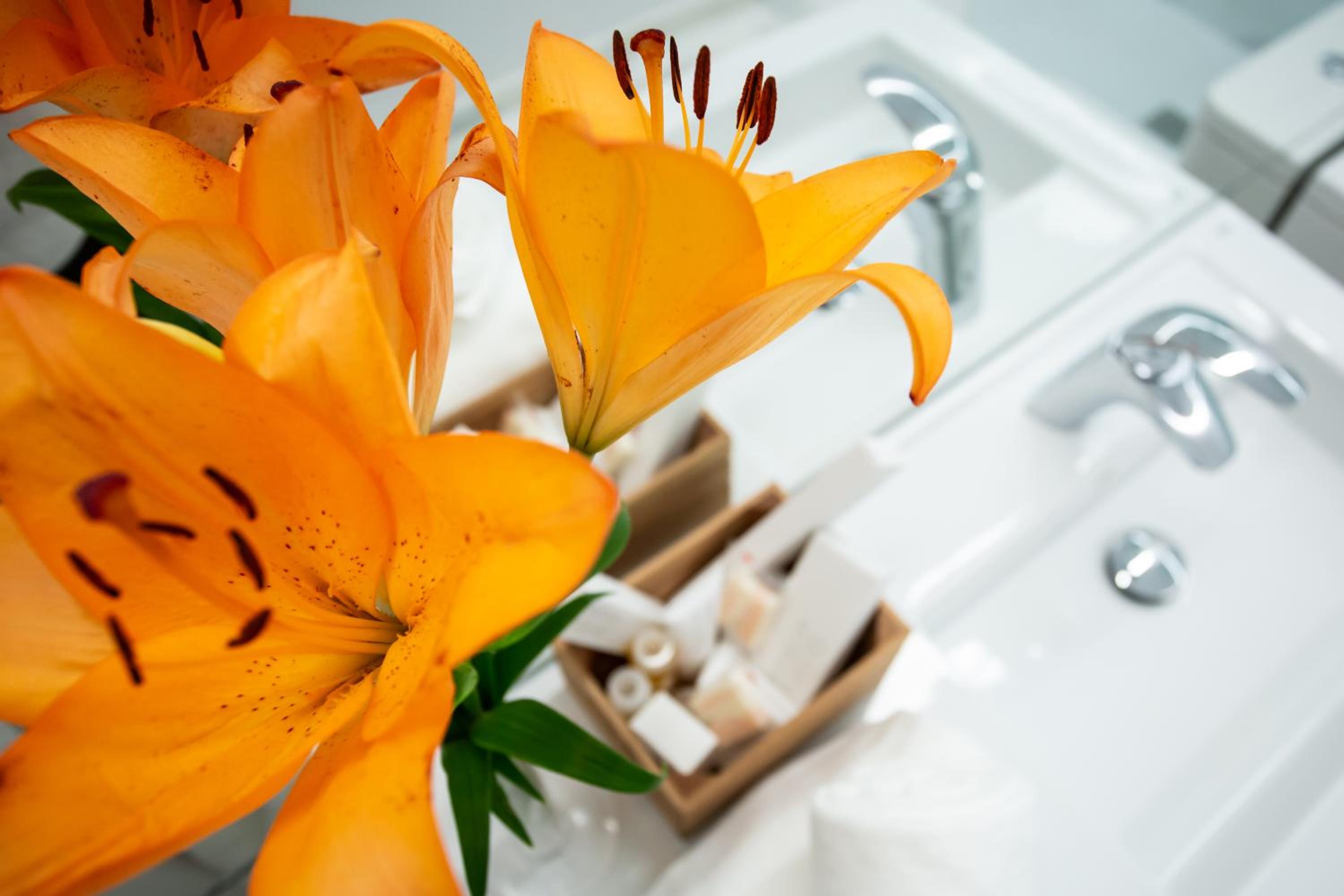 plazuela del carbon suites