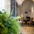 plazuela del carbon suites
