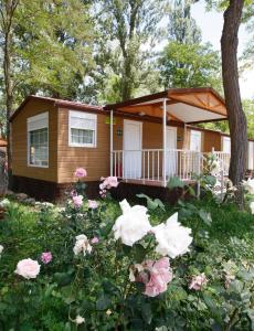 camping fuentes blancas