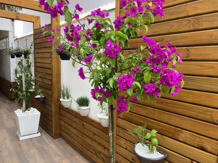 suites jurere internacional