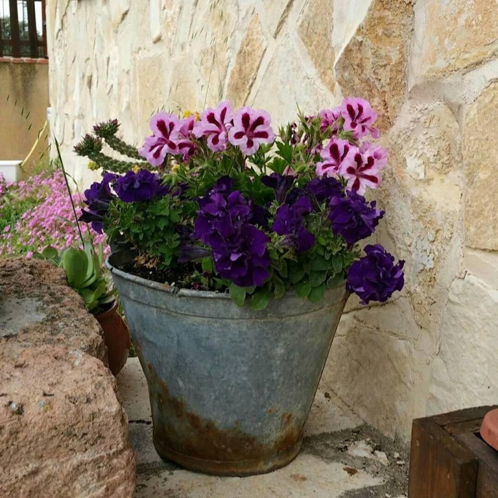 casa rural el camino real