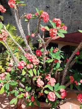 Hotel Ilebal,Jiutepec>>Cuernavaca,3 star