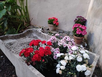 malpartida de plasencia