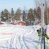 hallen