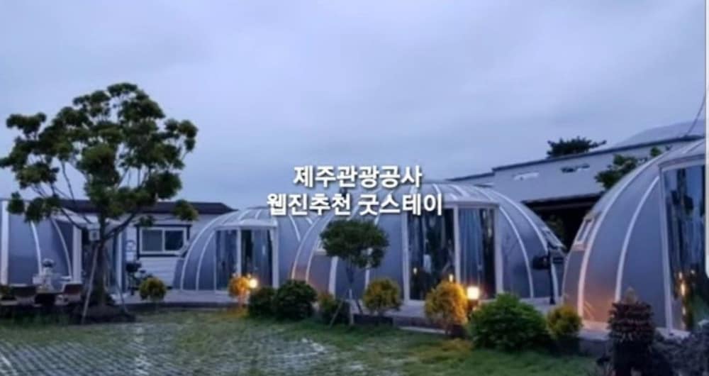 jeju igloo pension