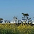jeju igloo pension