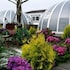 jeju igloo pension