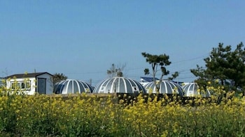 jeju igloo pension