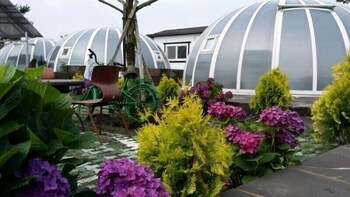 jeju igloo pension