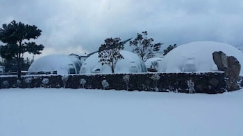 jeju igloo pension