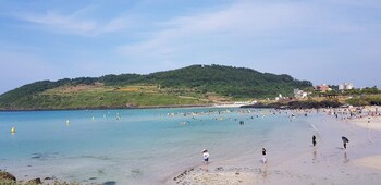 jeju city