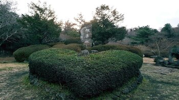 jeju igloo pension