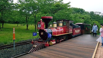 jeju igloo pension