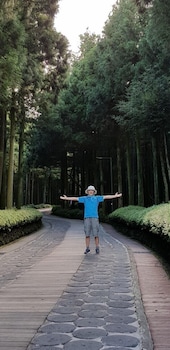 jeju igloo pension