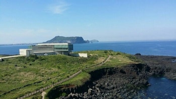 jeju igloo pension